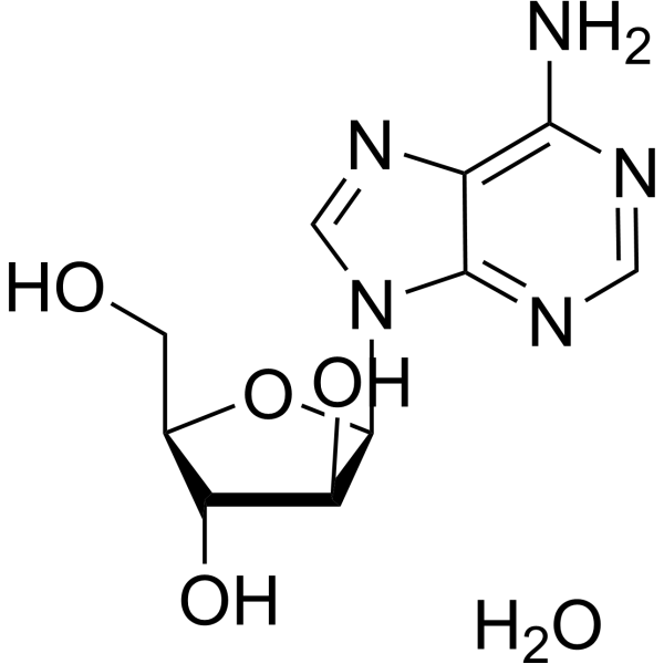 Vidarabine monohydrate 24356-66-9
